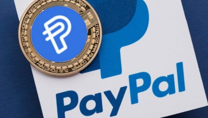 The circulation of the PayPal stablecoin dropped by 38%.