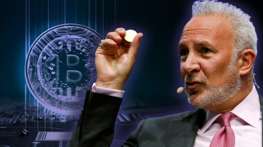 Peter Schiff warns Bitcoin investors