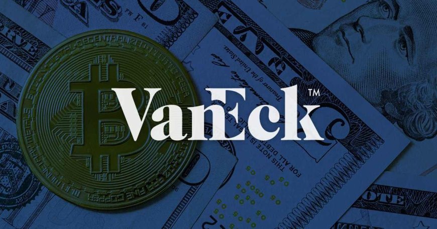 VanEck CEO: Growing Fiscal Concerns in the USA