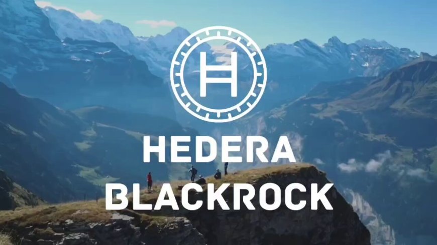 BlackRock Tokenizes Money Market Fund on Hedera